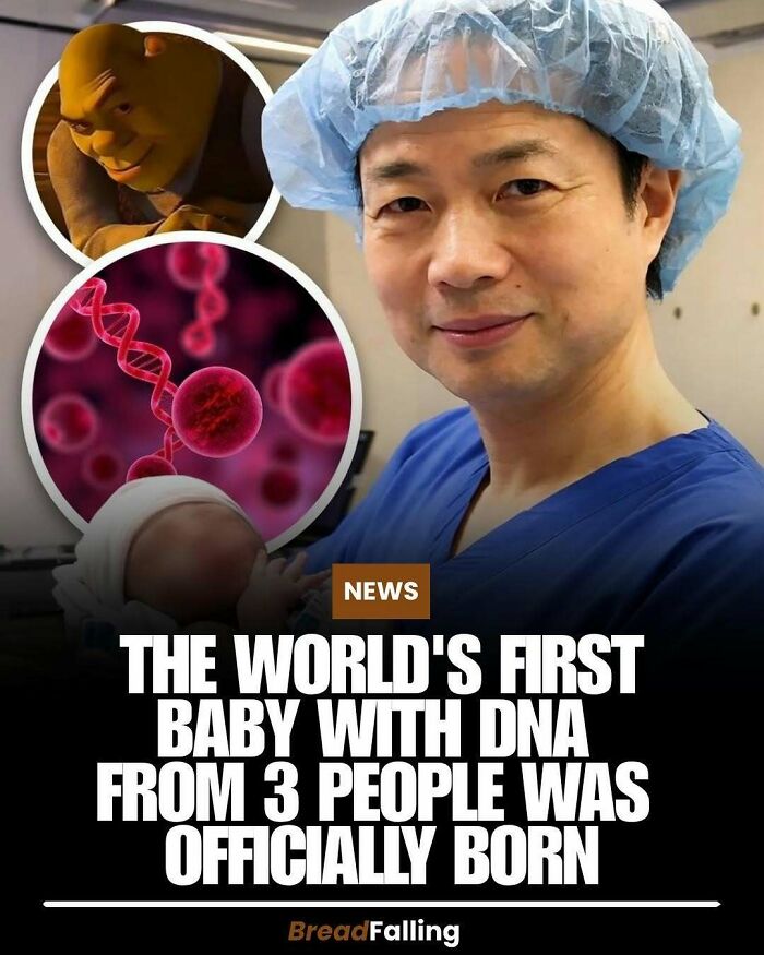 Wait, They Actually Rank This?! 63 Mind-Blowing Facts That’ll Totally Blow Your Mind