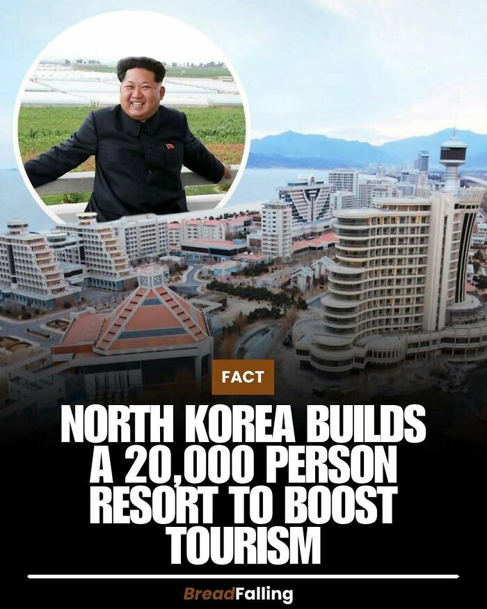Wait, They Actually Rank This?! 63 Mind-Blowing Facts That’ll Totally Blow Your Mind