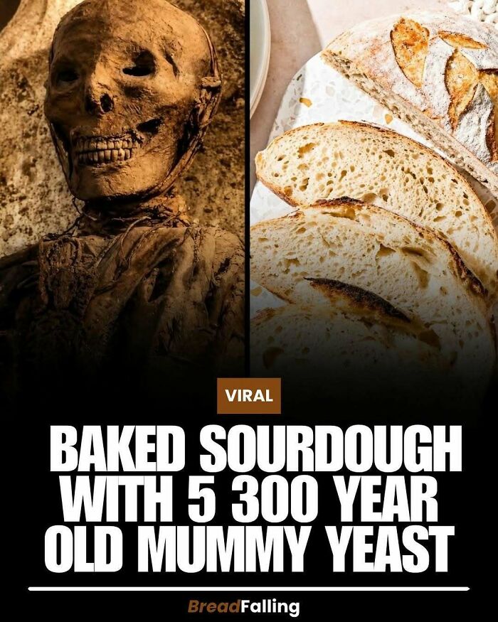 Wait, They Actually Rank This?! 63 Mind-Blowing Facts That’ll Totally Blow Your Mind