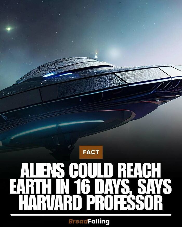 Wait, They Actually Rank This?! 63 Mind-Blowing Facts That’ll Totally Blow Your Mind