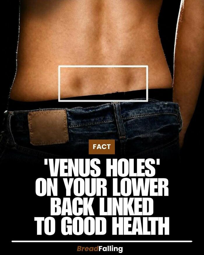 Wait, They Actually Rank This?! 63 Mind-Blowing Facts That’ll Totally Blow Your Mind
