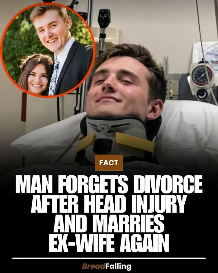 Wait, They Actually Rank This?! 63 Mind-Blowing Facts That’ll Totally Blow Your Mind