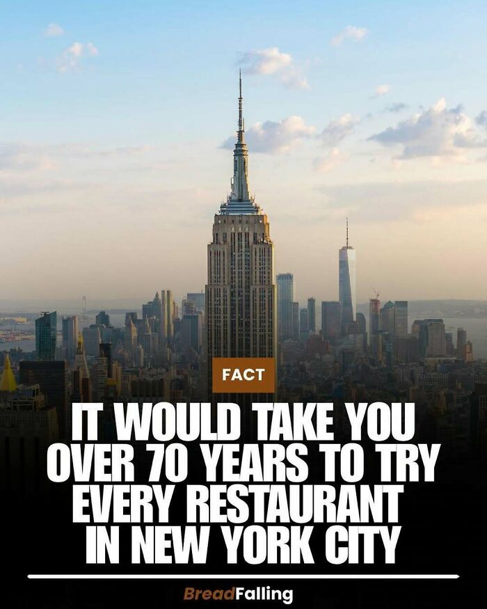 Wait, They Actually Rank This?! 63 Mind-Blowing Facts That’ll Totally Blow Your Mind
