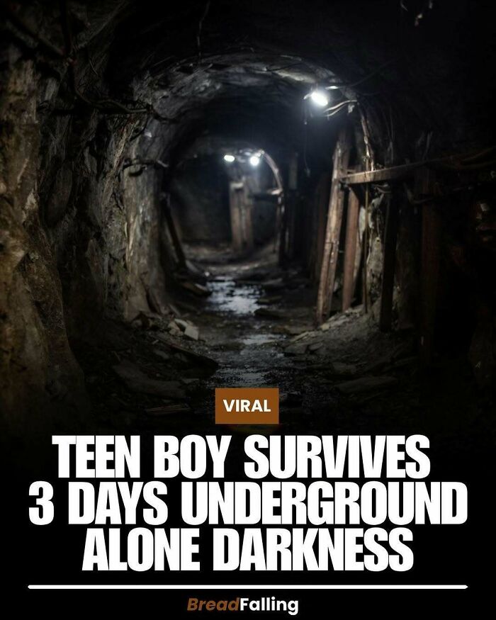 Wait, They Actually Rank This?! 63 Mind-Blowing Facts That’ll Totally Blow Your Mind