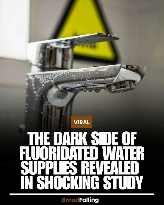 Wait, They Actually Rank This?! 63 Mind-Blowing Facts That’ll Totally Blow Your Mind