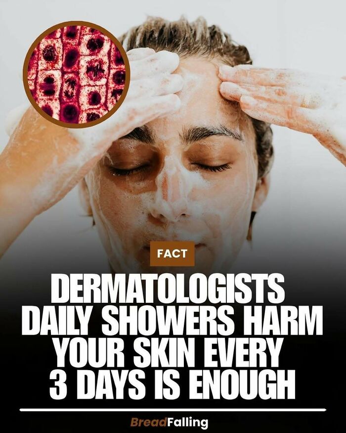 Wait, They Actually Rank This?! 63 Mind-Blowing Facts That’ll Totally Blow Your Mind