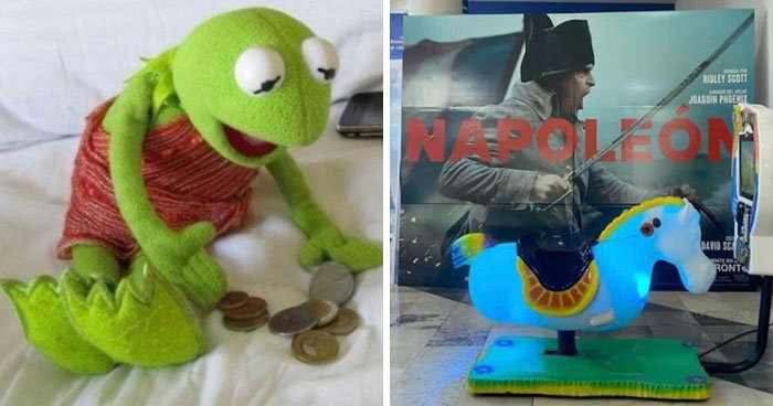 Wait, They Actually Ranked Those Hilarious Random Pics?!