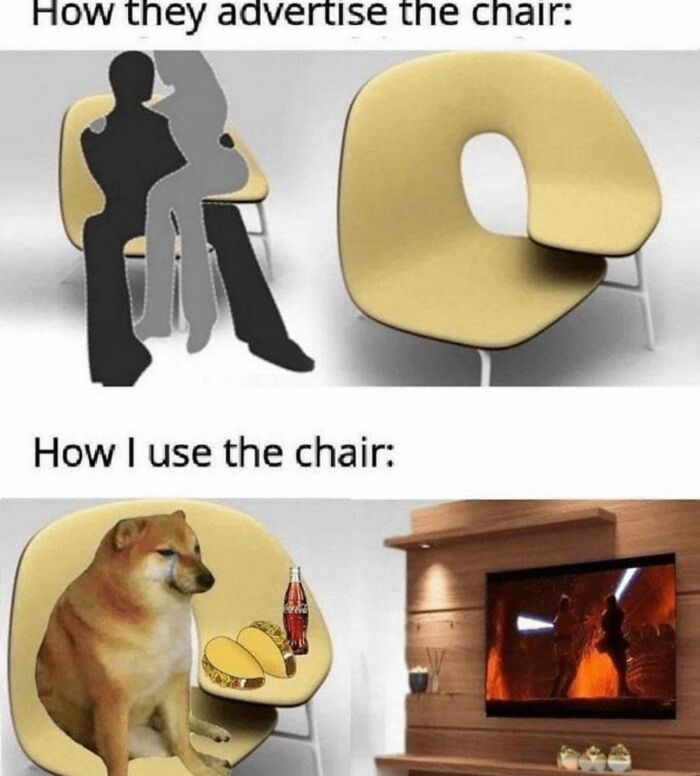 Wait, They Actually Ranked Those Hilarious Random Pics?!
