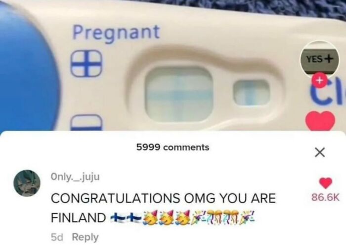 Wait, They Actually Ranked Those Hilarious Random Pics?!