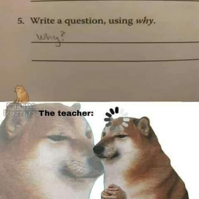 Wait, They Actually Ranked Those Hilarious Random Pics?!