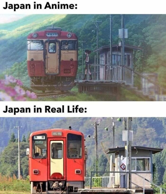 Wait, They Actually Ranked Those Hilarious Random Pics?!