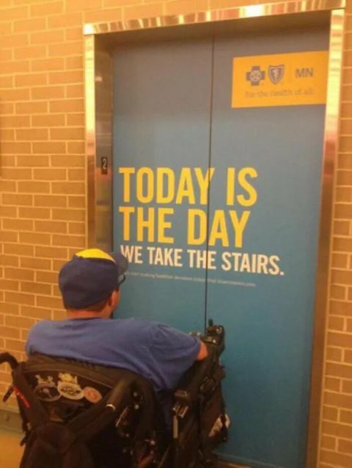 Wait, They Actually Ranked Those Hilarious Random Pics?!