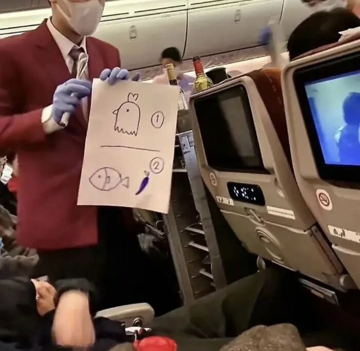 Wait, They Actually Ranked Those Hilarious Random Pics?!
