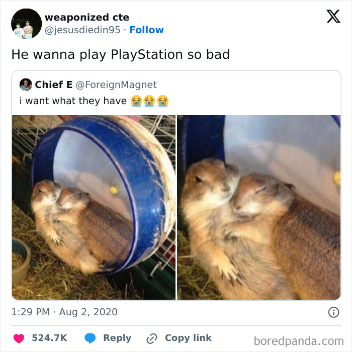 Wait, They Actually Ranked These Memes? You’re Gonna Laugh.