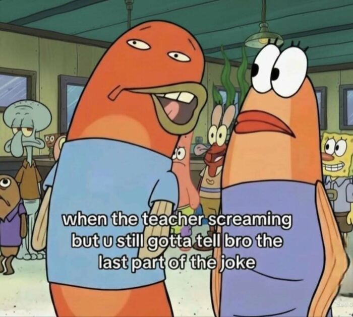 Wait, They Actually Ranked These Memes? You’re Gonna Laugh.