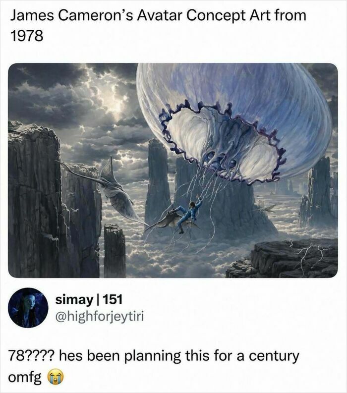Wait, They Actually Ranked These Memes? You’re Gonna Laugh.