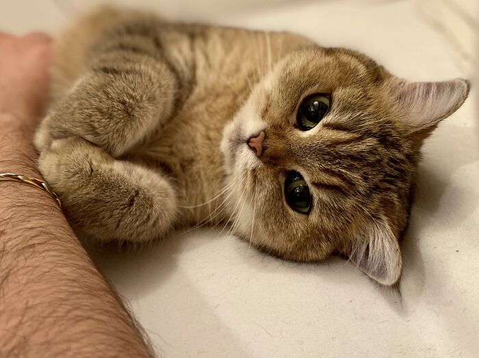 Ready For A Big Smile? Check Out These 80 Ultra-Cute Posts!