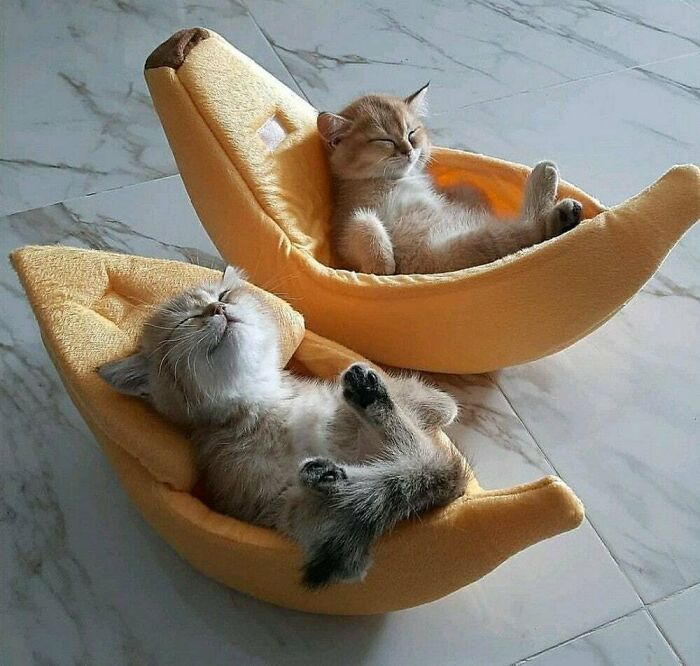 Ready For A Big Smile? Check Out These 80 Ultra-Cute Posts!