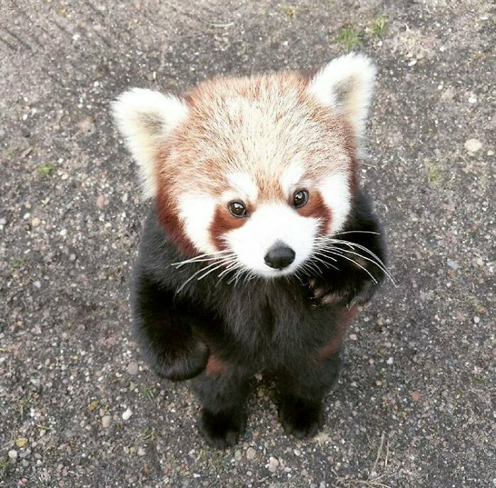 Ready For A Big Smile? Check Out These 80 Ultra-Cute Posts!