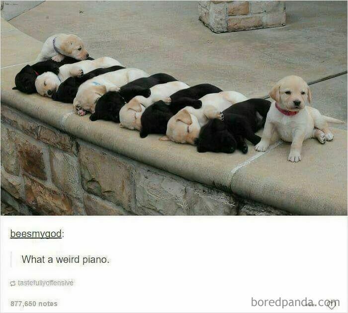 Ready For A Big Smile? Check Out These 80 Ultra-Cute Posts!