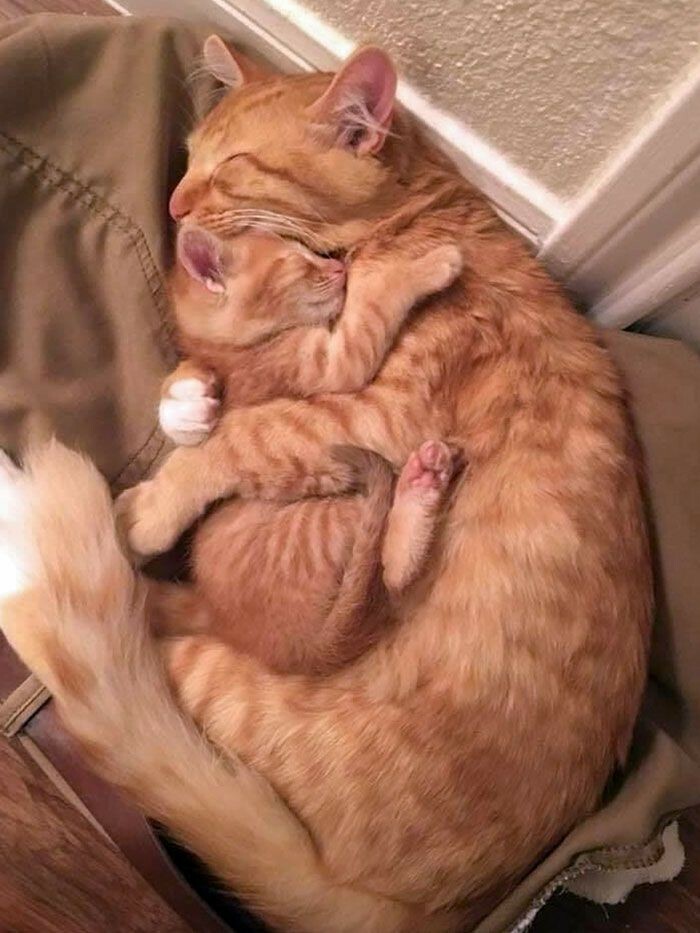 Ready For A Big Smile? Check Out These 80 Ultra-Cute Posts!