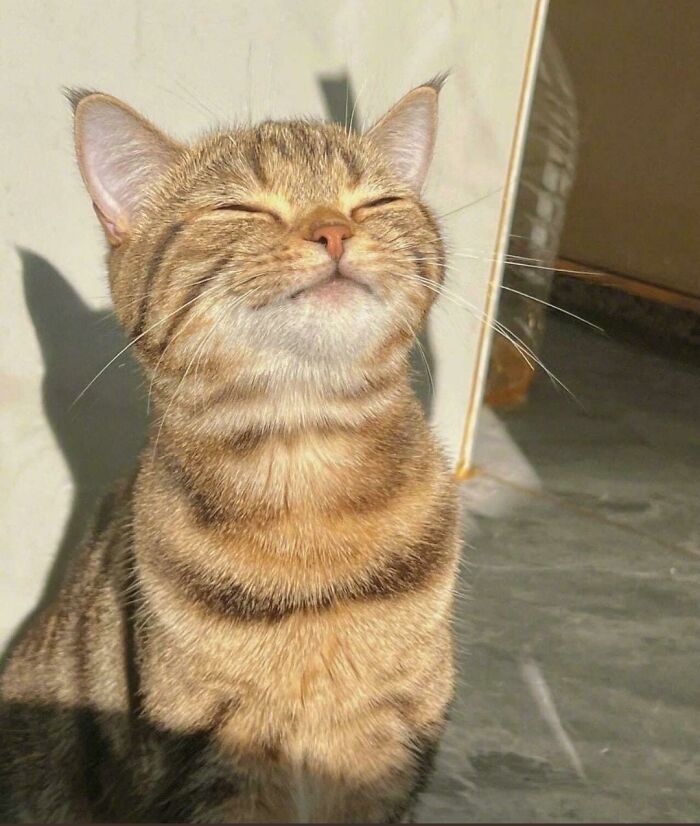 Ready For A Big Smile? Check Out These 80 Ultra-Cute Posts!