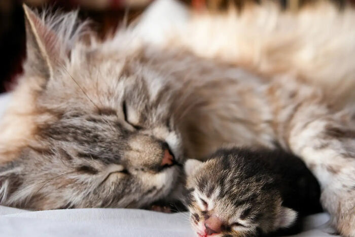 Ready For A Big Smile? Check Out These 80 Ultra-Cute Posts!