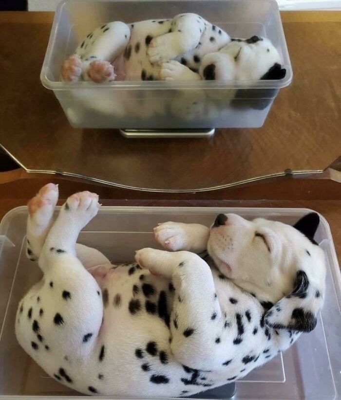 Ready For A Big Smile? Check Out These 80 Ultra-Cute Posts!