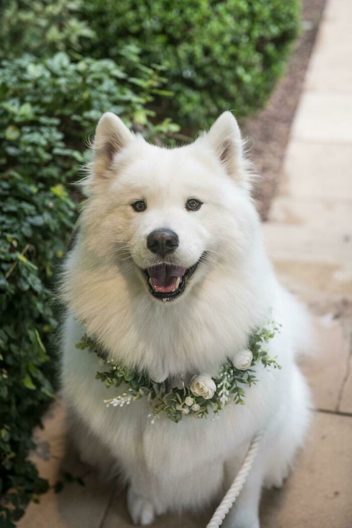 Ready For A Big Smile? Check Out These 80 Ultra-Cute Posts!