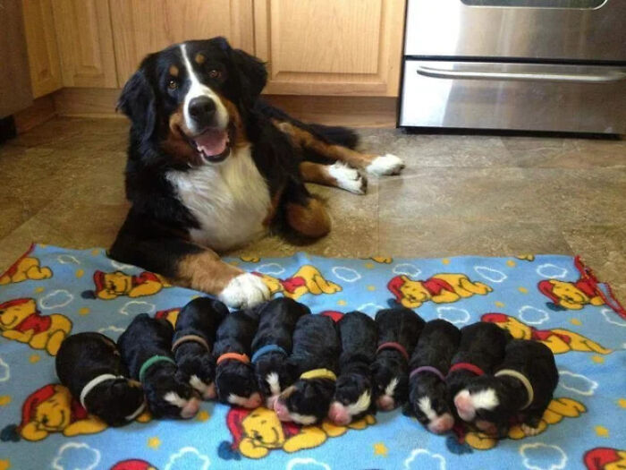 Ready For A Big Smile? Check Out These 80 Ultra-Cute Posts!