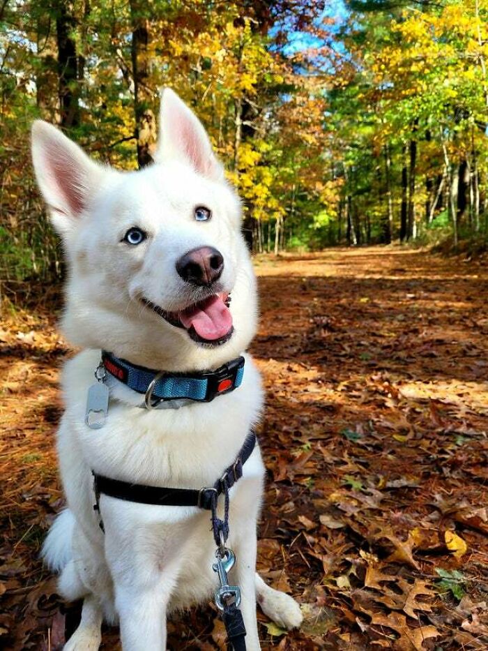 Ready For A Big Smile? Check Out These 80 Ultra-Cute Posts!