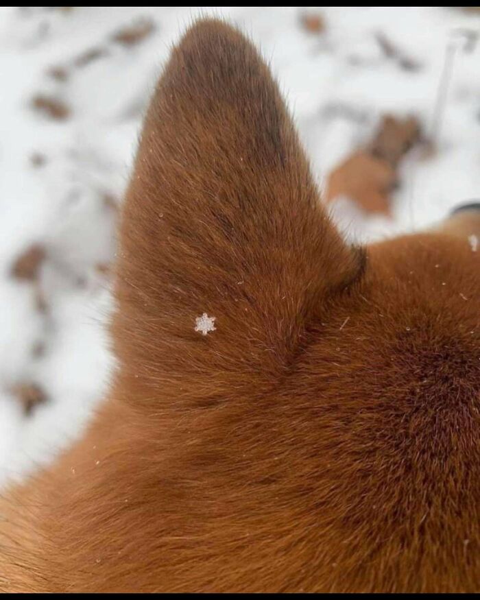 Ready For A Big Smile? Check Out These 80 Ultra-Cute Posts!