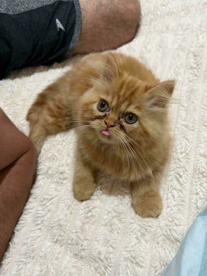 Ready For A Big Smile? Check Out These 80 Ultra-Cute Posts!
