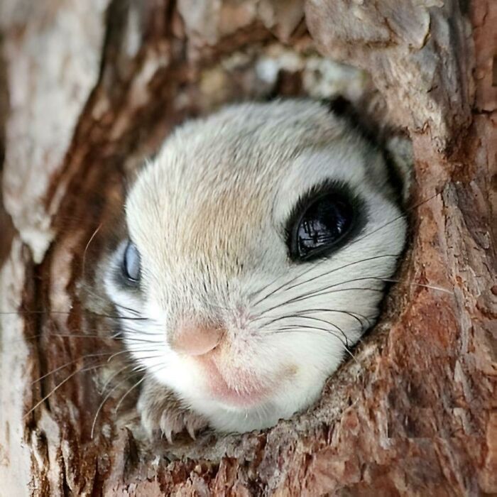 Ready For A Big Smile? Check Out These 80 Ultra-Cute Posts!