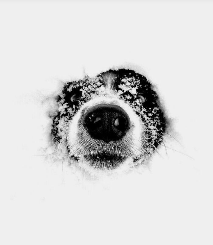 Ready For A Big Smile? Check Out These 80 Ultra-Cute Posts!