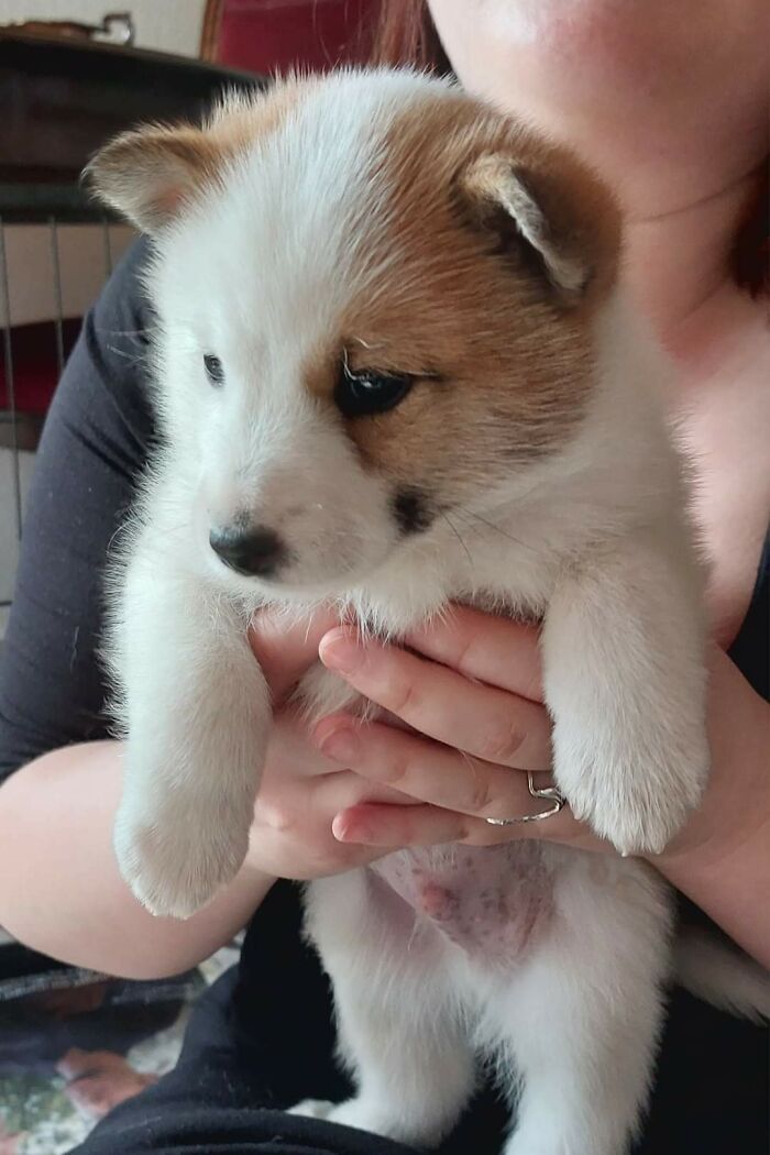 Ready For A Big Smile? Check Out These 80 Ultra-Cute Posts!