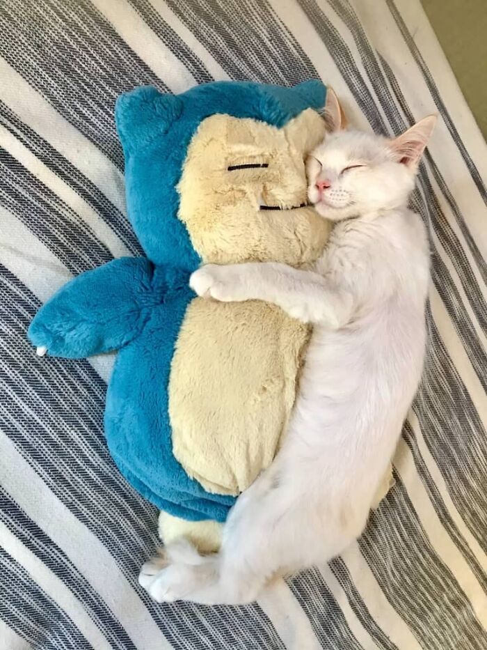 Ready For A Big Smile? Check Out These 80 Ultra-Cute Posts!