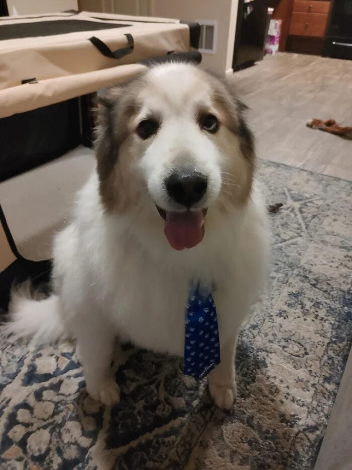 Ready For A Big Smile? Check Out These 80 Ultra-Cute Posts!