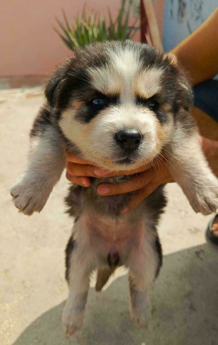 Ready For A Big Smile? Check Out These 80 Ultra-Cute Posts!