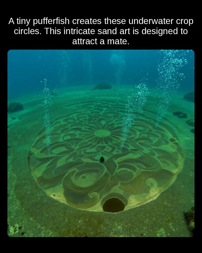 81 Weird But True Facts That'll Totally Surprise You