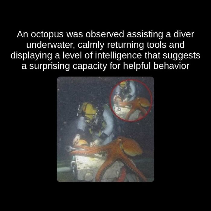 81 Weird But True Facts That'll Totally Surprise You