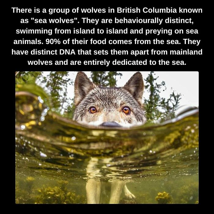 81 Weird But True Facts That'll Totally Surprise You
