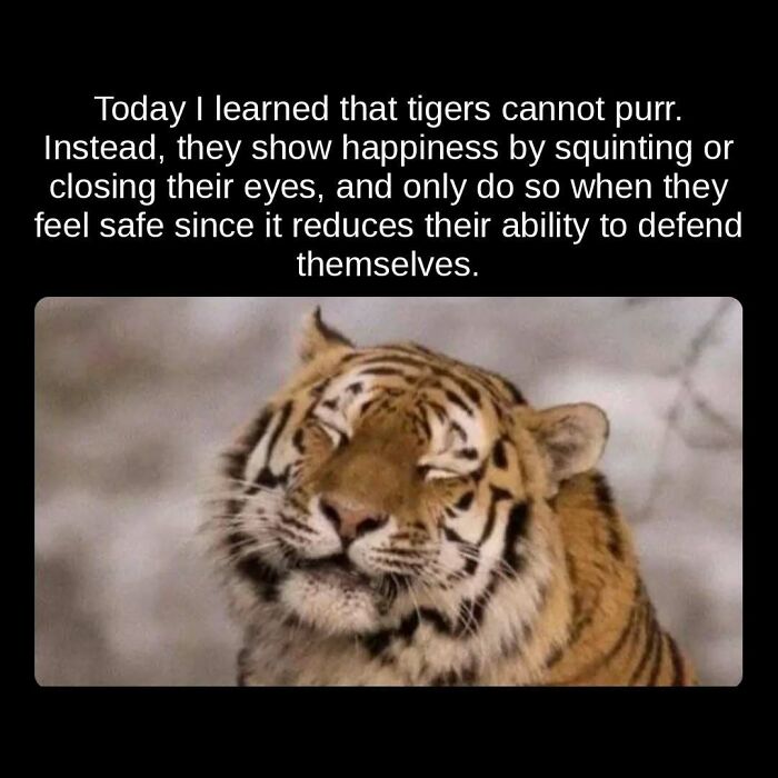 81 Weird But True Facts That'll Totally Surprise You