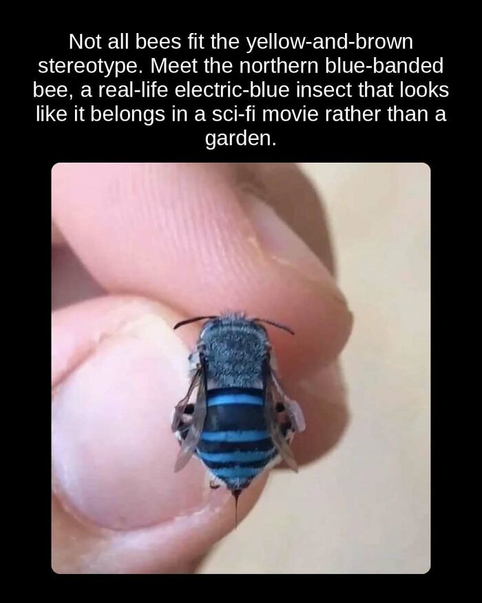 81 Weird But True Facts That'll Totally Surprise You