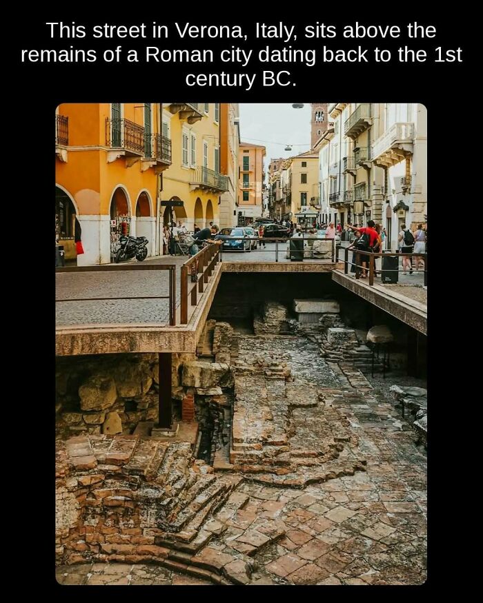81 Weird But True Facts That'll Totally Surprise You