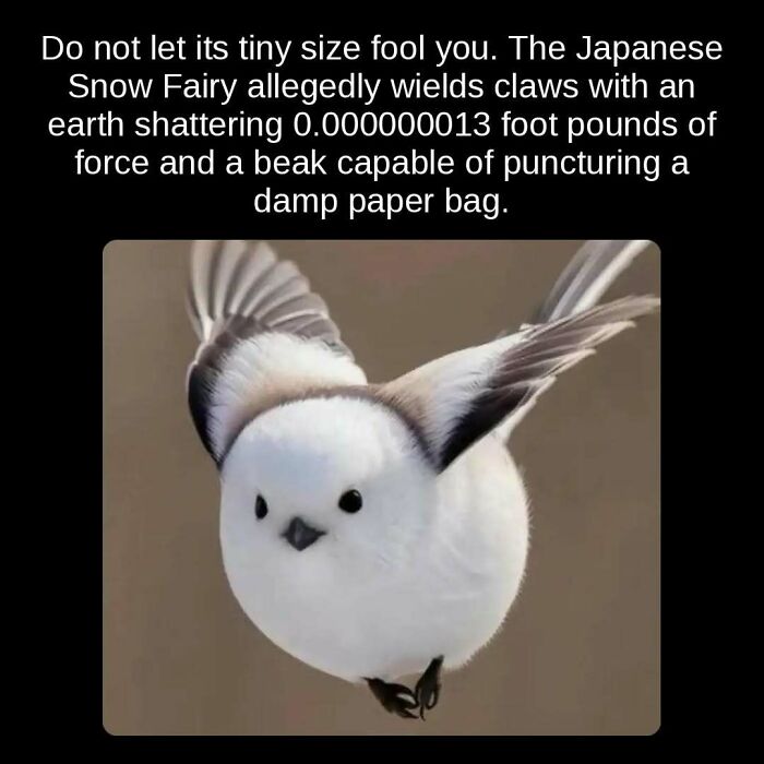 81 Weird But True Facts That'll Totally Surprise You