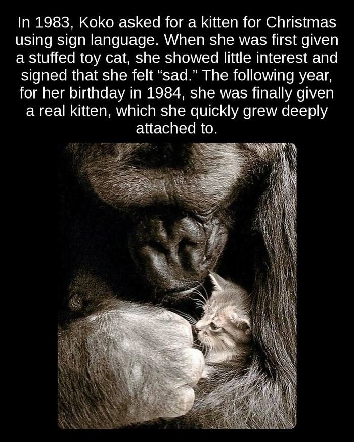 81 Weird But True Facts That'll Totally Surprise You