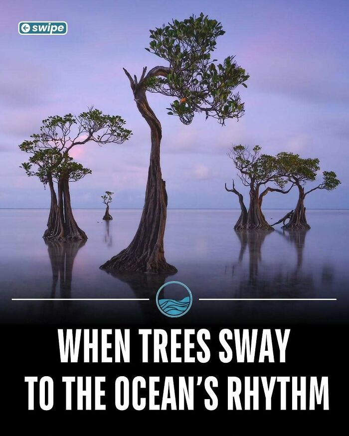 81 Weird But True Facts That'll Totally Surprise You