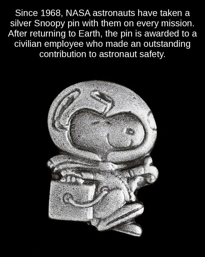 81 Weird But True Facts That'll Totally Surprise You