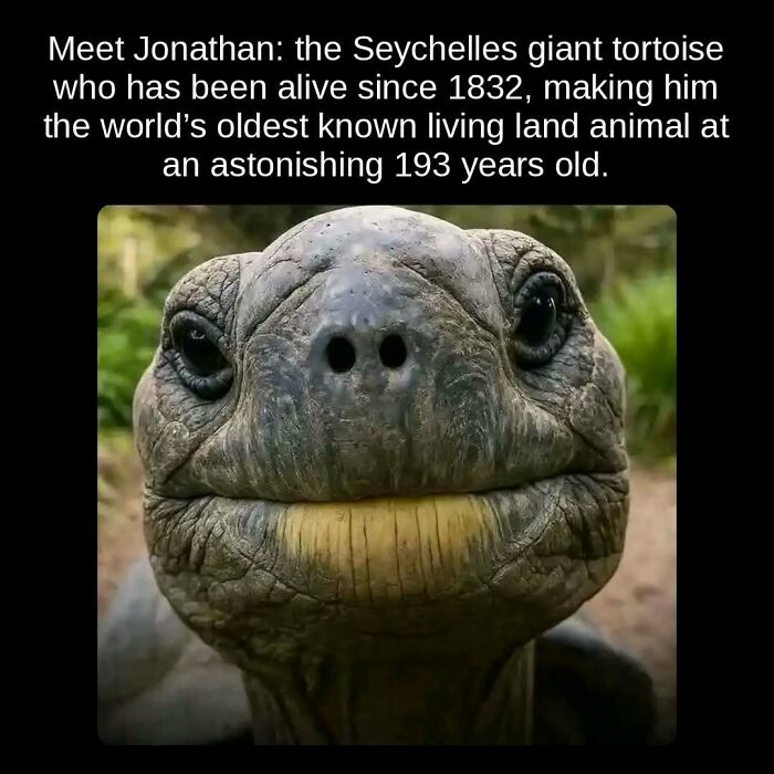81 Weird But True Facts That'll Totally Surprise You